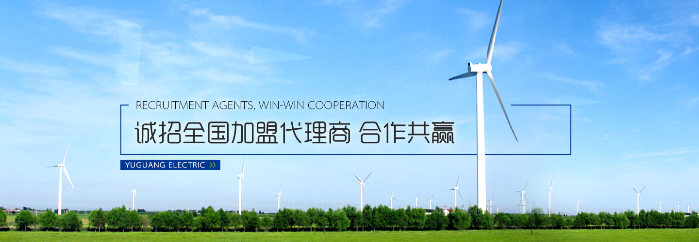 中國電力投資集團(tuán)公司